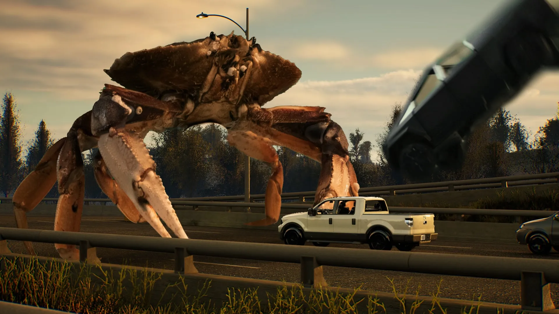 Crabby Crabby — Seafood, Loud & Proud